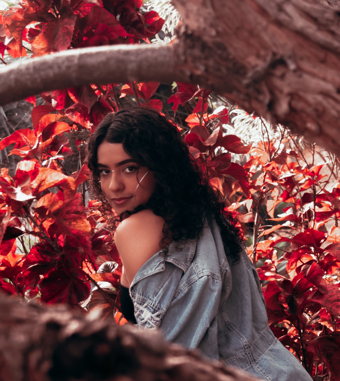 Fotografia de ambiente natural com detalhes vermelhos, editada no Photoshop Lightroom Classic